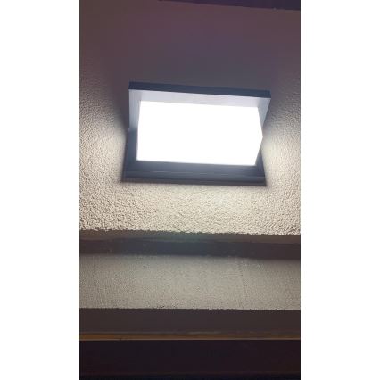 Applique LED da esterno con sensore LED/12W/230V IP54 nero