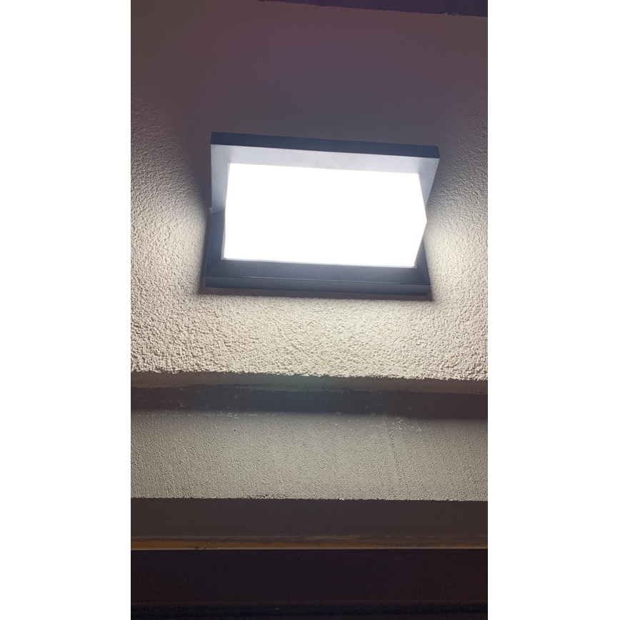 Applique LED da esterno LED/12W/230V IP54 nero