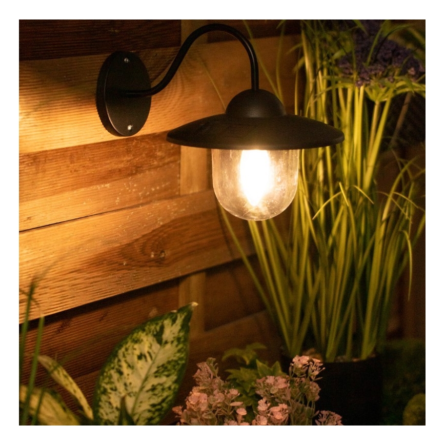 Applique LED solare DALI LED/1,2V IP44