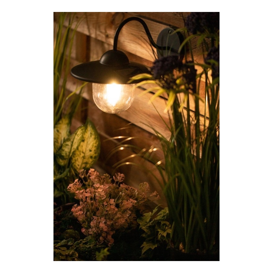 Applique LED solare DALI LED/1,2V IP44