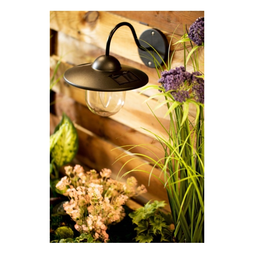 Applique LED solare DALI LED/1,2V IP44