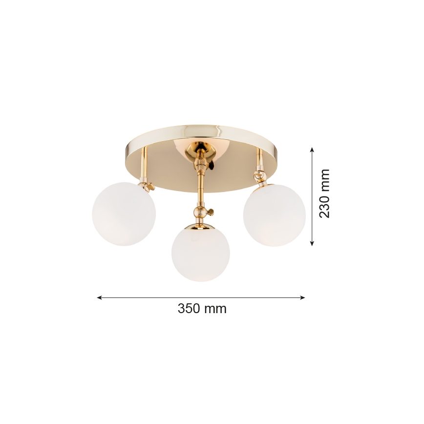 Argon 1435 - Lampadario da bagno a sospensione con supporto rigido LATINA 3xE14/40W/230V IP44