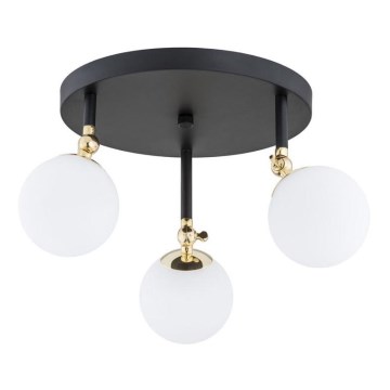 Argon 1436 - Plafoniera da bagno LATINA 3xE14/40W/230V IP44