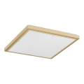 Argon 1816 - Plafoniera CARLSON 4xE27/15W/230V 60x60 cm oro