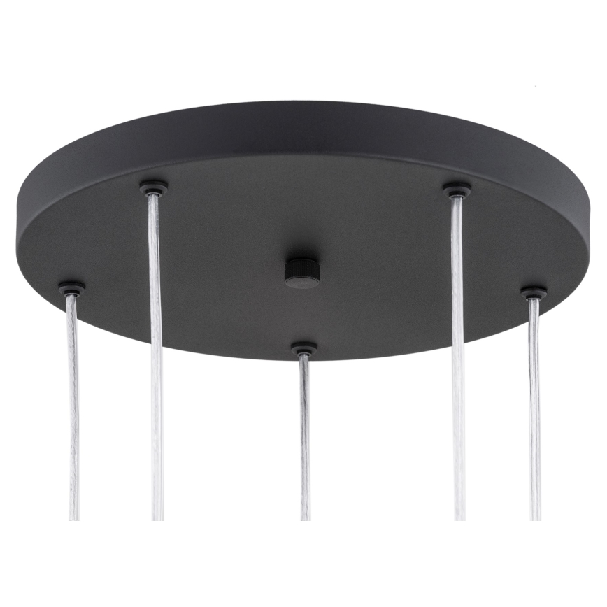 Argon 2103 - Lampadario su filo  HOLLYWOOD 5xE14/7W/230V nero