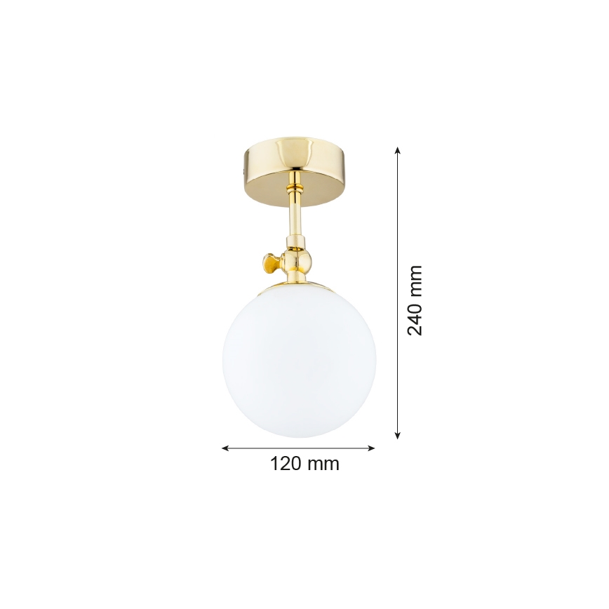 Argon 4001 - Lampadario da bagno a sospensione con supporto rigido LATINA 1xE14/40W/230V IP44