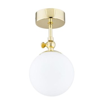 Argon 4001 - Plafoniera da bagno LATINA 1xE14/40W/230V IP44