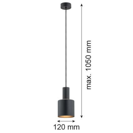 Argon 4219 - Lampadario a sospensione con filo SINES 1xE27/15W/230V d. 12 cm nero