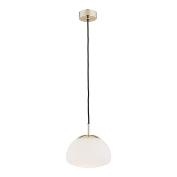 Argon 4352 - Lampadario a sospensione con filo TRINI 1xE27/15W/230V oro