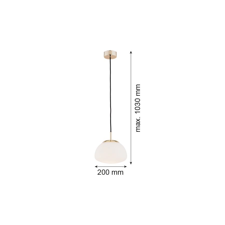 Argon 4352 - Lampadario a sospensione con filo TRINI 1xE27/15W/230V oro