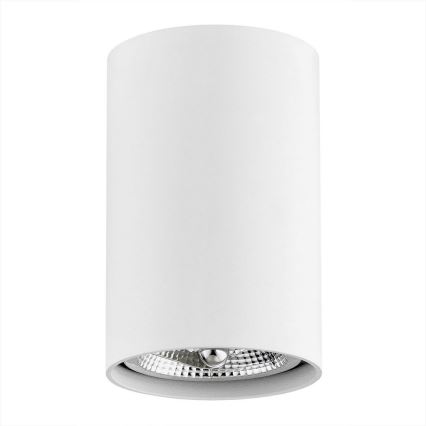 Argon 4910 - Luce Spot TUBO AR111 1xGU10/15W/230V bianco