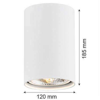 Argon 4910 - Luce Spot TUBO AR111 1xGU10/15W/230V bianco