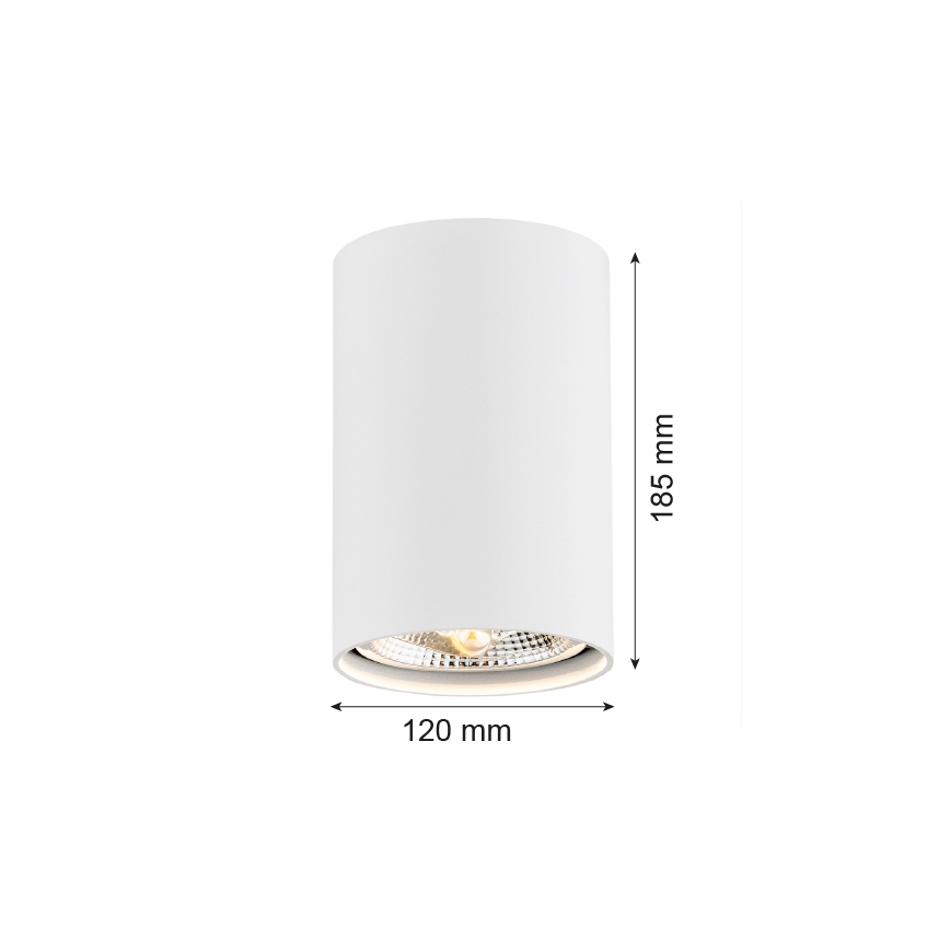 Argon 4910 - Luce Spot TUBO AR111 1xGU10/15W/230V bianco