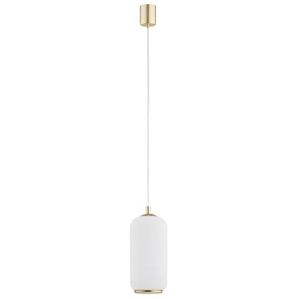 Argon 4993 - Lampadario a sospensione con filo PALLADO 1xE27/15W/230V oro/bianco