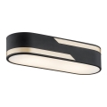 Argon 6001 - Applique TONI 3xE27/15W/230V nero/dorato