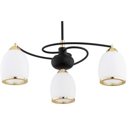 Argon 6144 - Lampadario su palo AVILA PLUS 3xE27/15W/230V nero/oro/bianco