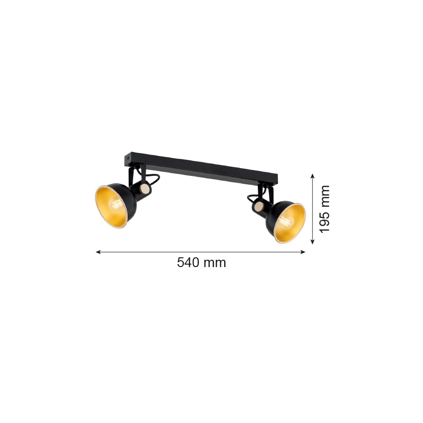 Argon 7142 - Faretto LENORA 2xE14/7W/230V nero