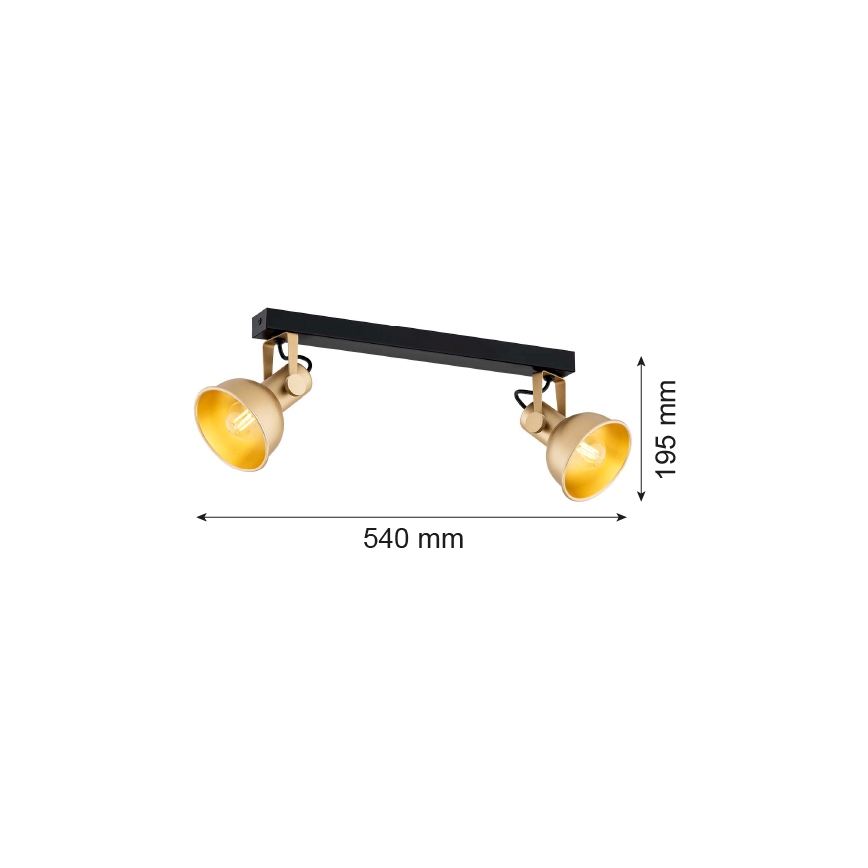 Argon 7144 - Faretto LENORA 2xE14/7W/230V oro/nero