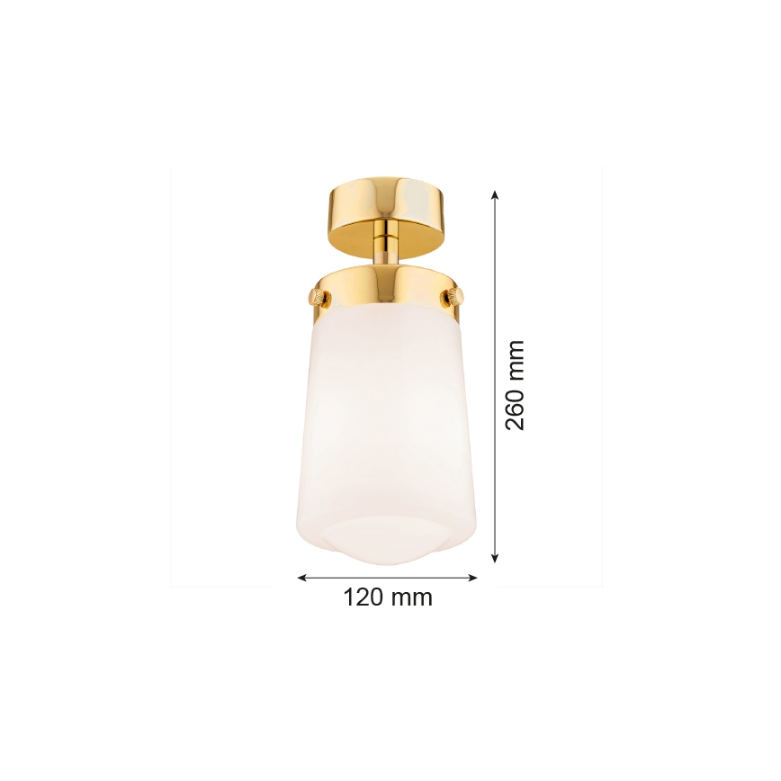Argon 8005 - Surface-mounted lampadario PASADENA 1xE27/15W/230V oro/bianco
