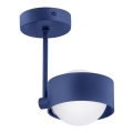 Argon 8062 - Lampadario su palo MASSIMO PLUS 1xG9/6W/230V blu