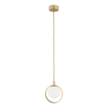 Argon 8257 - Lampadario a cavo SATURNIA 1xG9/6W/230V dorato