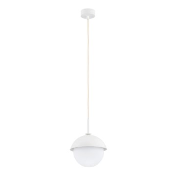 Argon 8294 - Lampadario a sospensione con filo CAPPELLO 1xE27/15W/230V bianco