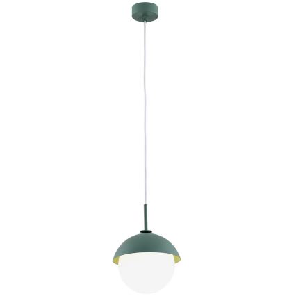 Argon 8297 - Lampadario a sospensione con filo CAPPELLO 1xE27/15W/230V verde