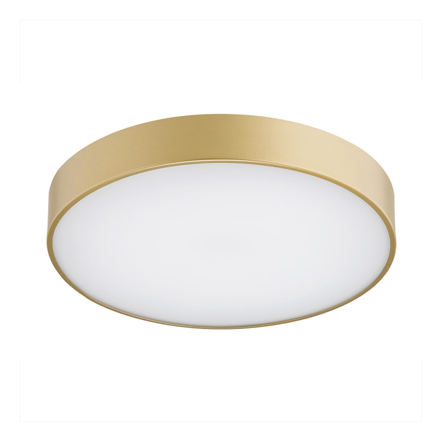 Argon 8349 - Plafoniera LED TIAMO LED/22W/230V 4000K oro