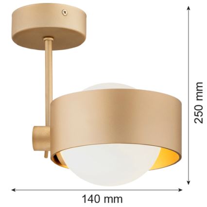 Argon 8568 - Lampadario da bagno a sospensione con supporto rigido MASSIMO PLUS 1xG9/6W/230V IP44 oro