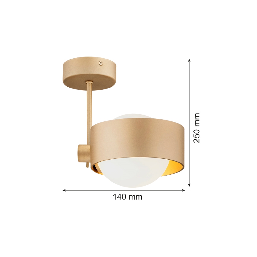 Argon 8568 - Lampadario da bagno a sospensione con supporto rigido MASSIMO PLUS 1xG9/6W/230V IP44 oro