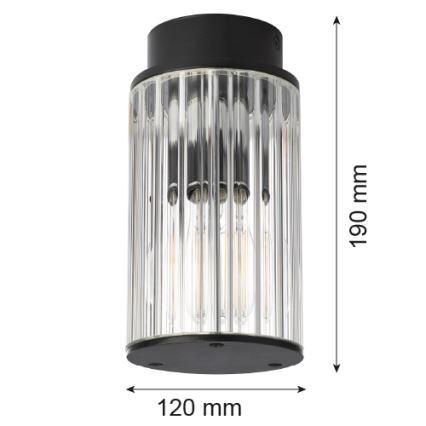 Argon 8773 - Plafoniera da esterno NORFOLK 1xE27/15W/230V IP44 nero