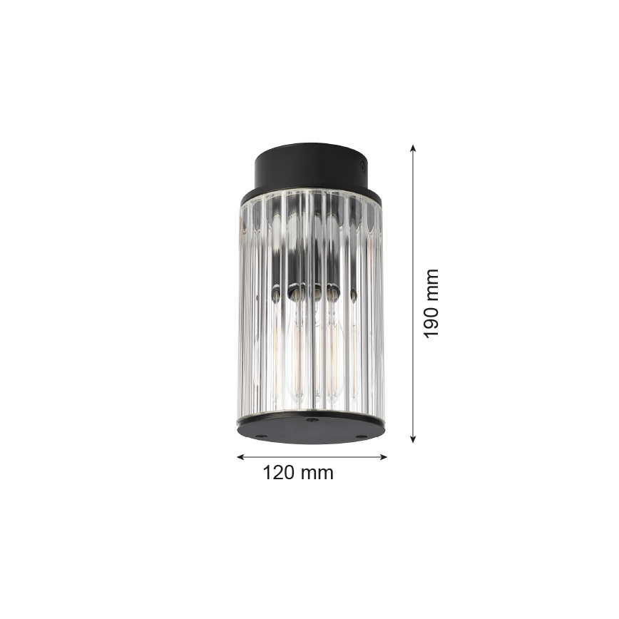 Argon 8773 - Plafoniera da esterno NORFOLK 1xE27/15W/230V IP44 nero