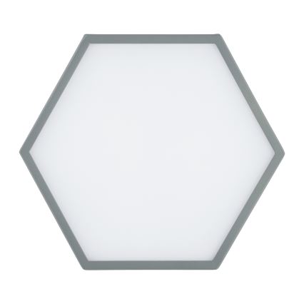 Argon 8784 - Plafoniera LED LIBERO LED/12W/230V 3000K grigio