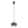 Argon 8815 - Lampadario a sospensione con filo TEVO 1xG9/4,5W/230V verde