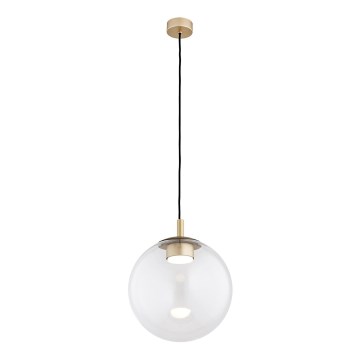 Argon 8828 - Lampadario a sospensione con filo SACRAMENTO 1xGX53/8W/230V limpido/oro