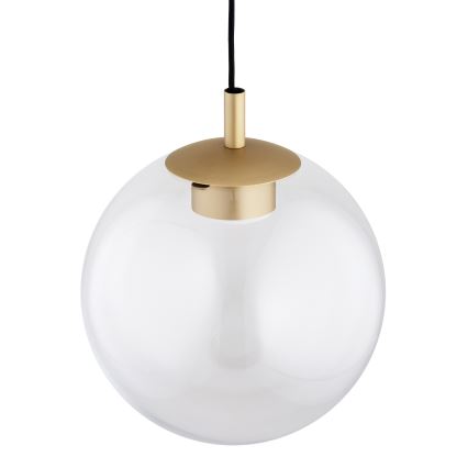 Argon 8828 - Lampadario a sospensione con filo SACRAMENTO 1xGX53/8W/230V limpido/oro