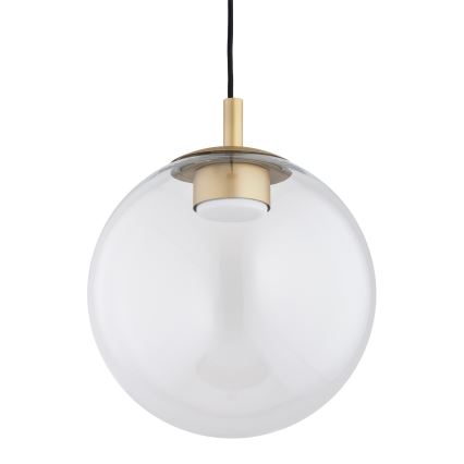 Argon 8828 - Lampadario a sospensione con filo SACRAMENTO 1xGX53/8W/230V limpido/oro