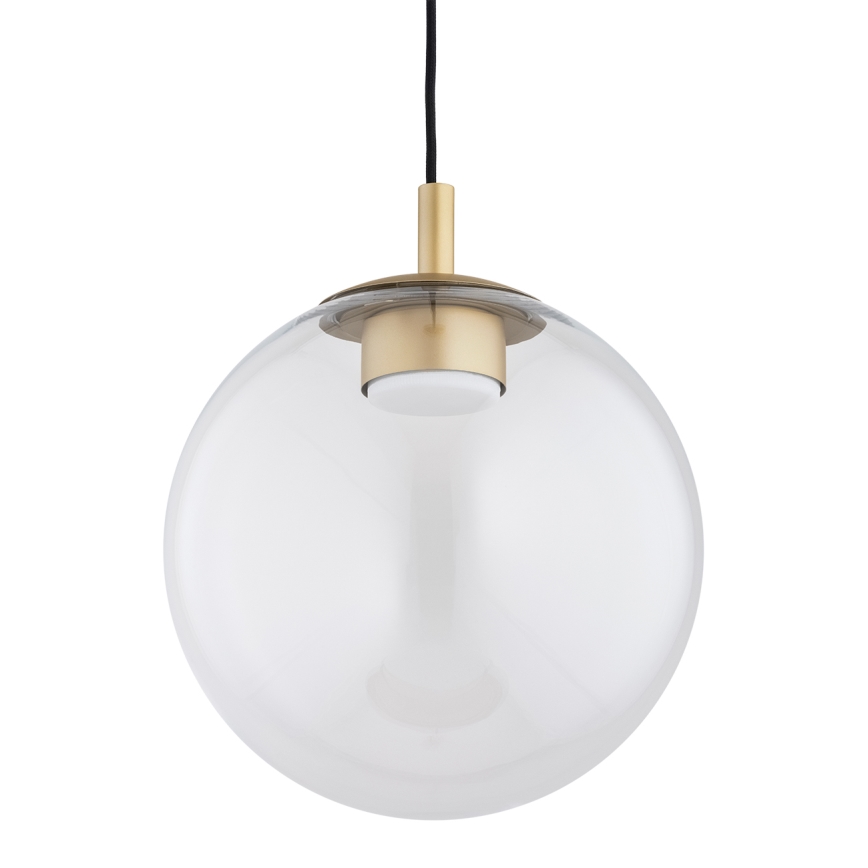 Argon 8828 - Lampadario a sospensione con filo SACRAMENTO 1xGX53/8W/230V limpido/oro