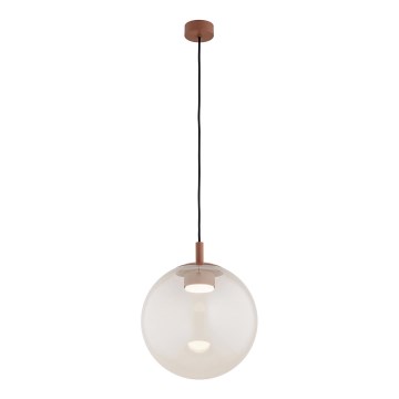 Argon 8829 - Lampadario a sospensione con filo SACRAMENTO 1xGX53/8W/230V limpido/marrone