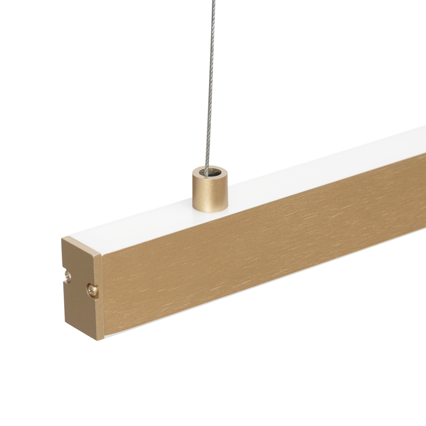 Argon 8836 - Lampadario LED a sospensione con filo MIAMI LED/37W/230V 3000K oro