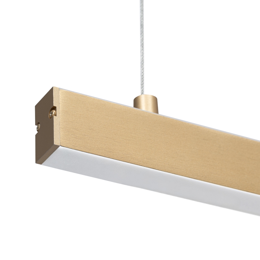 Argon 8836 - Lampadario LED a sospensione con filo MIAMI LED/37W/230V 3000K oro