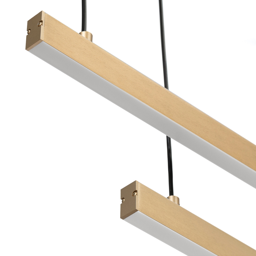 Argon 8839 - Lampadario LED a sospensione con filo MIAMI LED/74W/230V 3000K oro