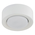 Argon 8915 - Plafoniera da soffitto ELORA 1xGX53/7W/230V Ø 11 cm bianca