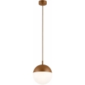 Argon 8998 - Lampada da esterno a sospensione su cavo LIV 1xE27/15W/230V IP44 marrone