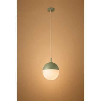 Argon 8999 - Lampada a sospensione da esterno su cavo LIV 1xE27/15W/230V IP44 verde