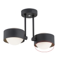 Argon - Vetro di ricambio per lampadario MASSIMO PLUS G9