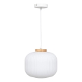 Atmosphera - Lampada a sospensione su cavo TRAVIS 1xE27/25W/230V pino