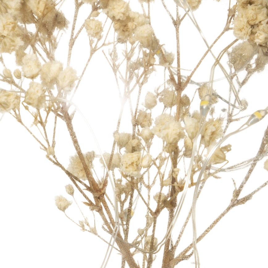 Atmosphera - lampada da tavolo a LED MICRO LED/2xAAA antracite