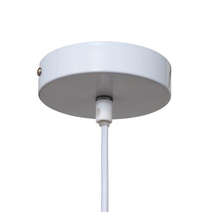 Atmosphera - Lampadario a sospensione con filo ALARA 1xE27/40W/230V iuta