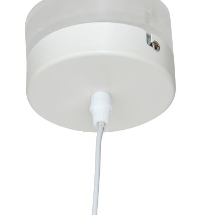 Atmosphera - Lampadario a sospensione per bambini con cavo TOXEY 1xE27/25W/230V orsetto
